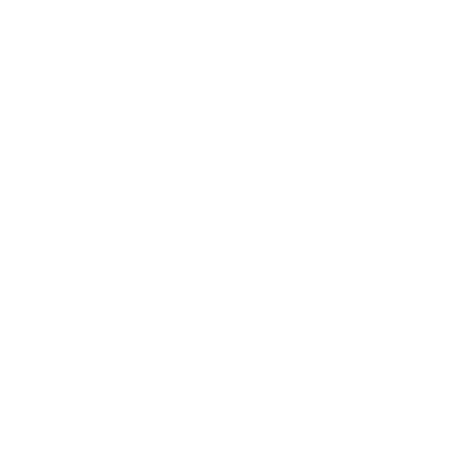 Objective Icon